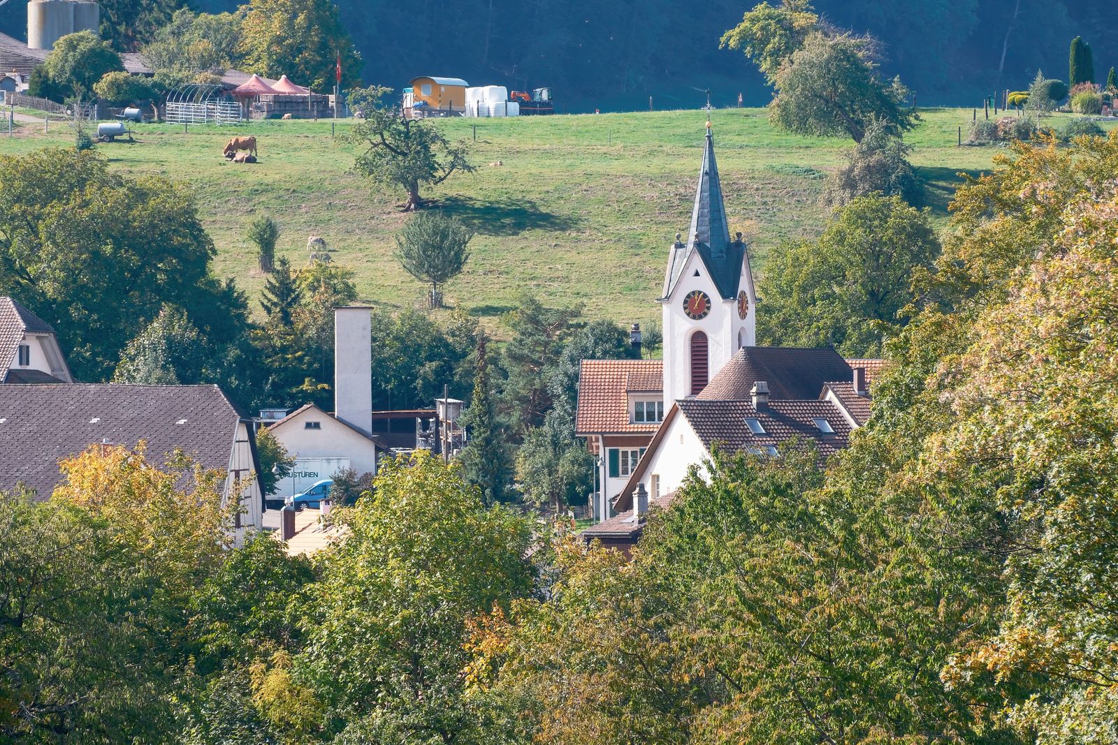 Clocher d'église et horloge de village, domaine d'intervention du campaniste